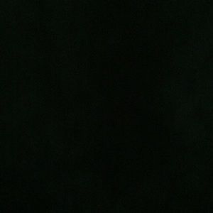 Meet your Posher, Terry